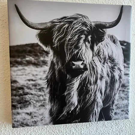 Der Highlander
